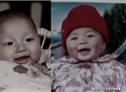  错宠成婚，热播短剧，免费全集，揭秘爱情背后的真相--第1张