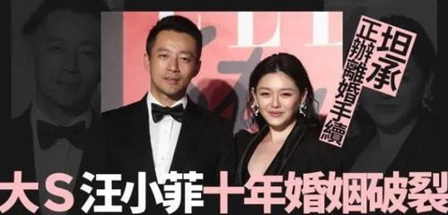  离婚后她成了总裁，一部热播短剧背后的故事，离婚后她崛起，一部热播短剧背后的总裁故事--第1张