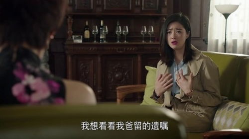  秘密继承人，热播短剧免费全集，揭示家族遗产背后的真相，秘密继承人，遗产真相大白--第1张