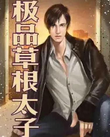  穿越之极品太子爷免费全集——热播短剧引爆全网--第1张