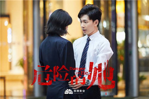  热播短剧九龙圣医免费全集，九龙圣医免费全集，短剧热播--第1张