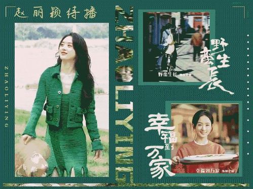  ，热播短剧复仇我碾压一切婚闹当天跳桥重生免费全集--第1张