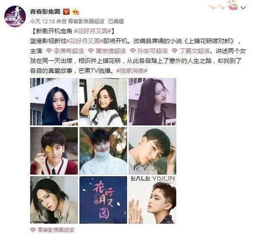  揭秘热播短剧替嫁了个隐藏富豪免费全集--第1张