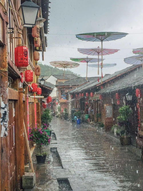  热播短剧我的七个绝色姐姐我的七个姐姐是大佬免费全集--第1张