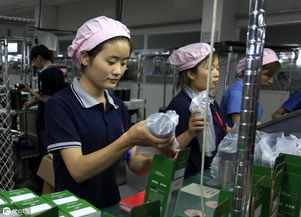  热播短剧大佬外卖员免费全集，一个外卖员的逆袭之路，外卖员逆袭，大佬外卖员的秘密生活--第1张