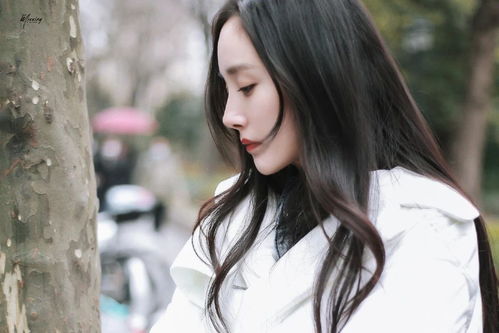  热播短剧先婚后爱顾少的落魄娇妻免费全集，落魄娇妻归来，顾少的契约新妻--第1张