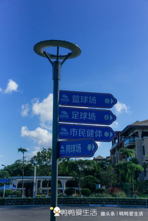  热播短剧厉总先动的心免费全集，厉总先动的心全集免费观看--第1张