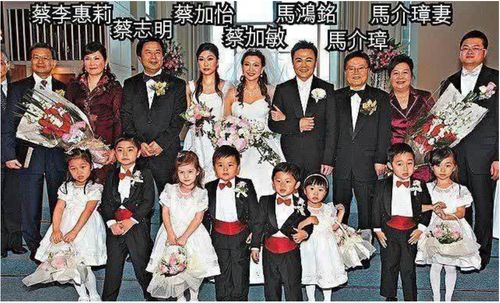  热播短剧百亿继承人免费全集，揭秘豪门家族的财富风云--第1张