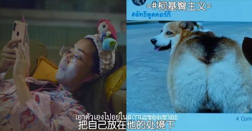  热播短剧系统叫我做添狗免费全集--第1张