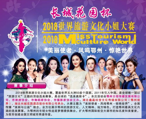  从你的全世界错过安小姐，我的世界不能没有你，一个关于爱情和失去的故事，错过与寻找的交织--第1张