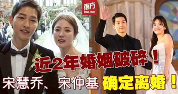  入赘五年离婚无敌免费全集热播短剧，揭示婚姻背后的真相--第1张