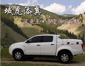 国产皮卡车排行榜_国产皮卡车排行榜--第1张