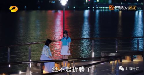  霍总那对龙凤胎和你长的很像的免费热播短剧全集--第1张
