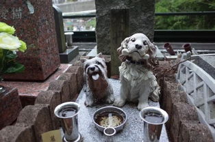  她死后薄爷跪在墓碑前哭成狗免费全集，爱已成殇，薄爷，您心碎了--第1张