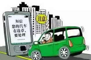 石家庄汽车违章查询_石家庄汽车违章查询网--第1张