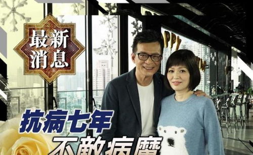  热播短剧夫人她侍宠生娇夫人要离婚首富老公他慌了免费全集--第1张