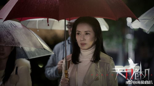  热播短剧一切从无敌开始下山下山女神靠边大小姐的隐世高手免费全集，无敌下山免费全集，隐世高手下山下山的女神--第1张
