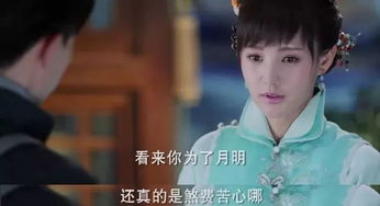  热播短剧顾少夫人她不要你了！免费全集--第1张