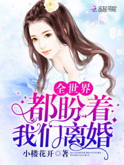  热播短剧医者为王被迫离婚后我向全世界摊牌免费全集，被迫离婚后，我向全世界摊牌--第1张