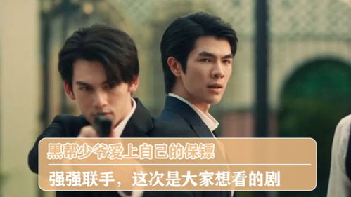 热播短剧爱上我的男保镖免费全集--第1张