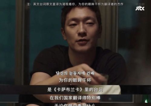  热播短剧一鸣惊人免费全集，揭秘一部火爆剧集的幕后故事--第1张