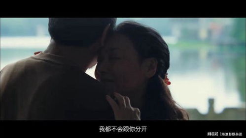  热播短剧少帅不敢爱免费全集——一部引人入胜的情感大戏--第1张