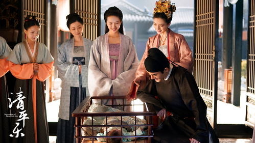  热播短剧神医钓王免费全集--第1张