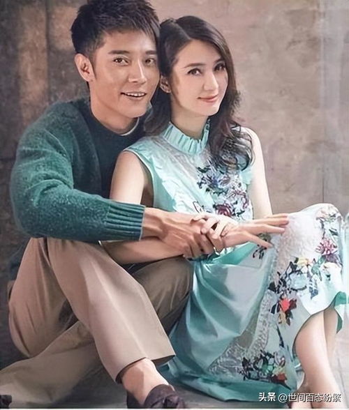  离婚后大明星老婆后悔了，免费全集观看--第1张
