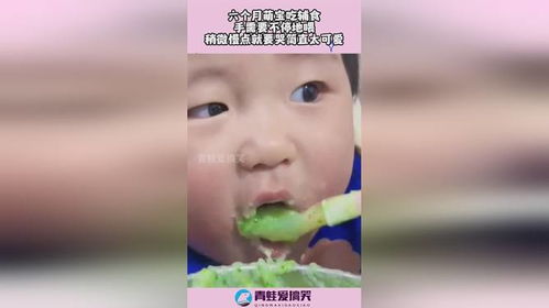  四年后她带萌宝惊艳全球，萌娃助攻爹地认命吧！免费全集--第1张