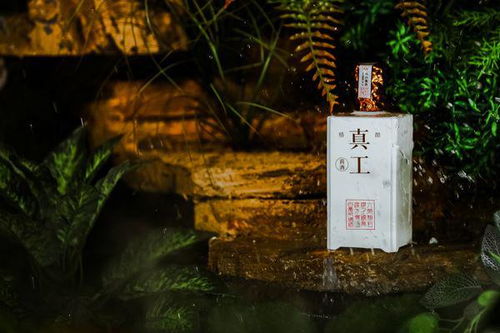  轻舟已过万重山，一部穿越剧的热血之旅--第1张