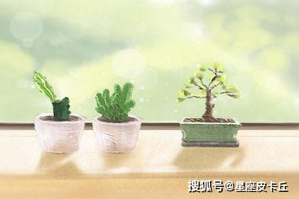  花语，高傲厌世，孤傲冷漠的花卉，如彼岸花、猫眼石等--第1张