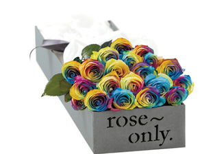 Roseonly玫瑰花，价格与品质的完美结合，Roseonly玫瑰花，价格与品质的完美结合，一份浪漫的礼物选择--第1张