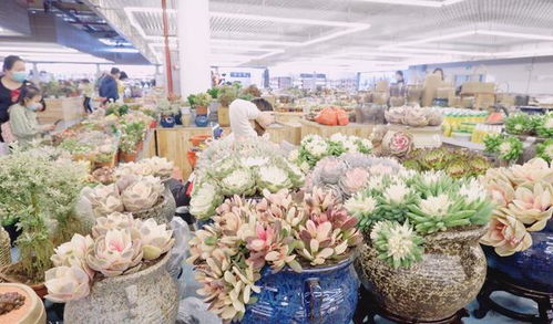  深圳卖花的地方，深圳卖花的地方有，，花之都(深南店)--第1张