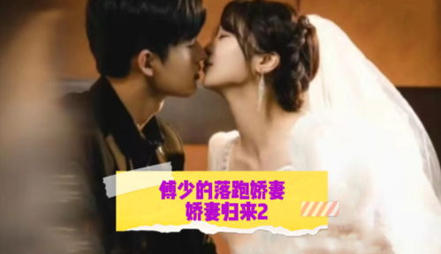  短剧新版傅少的闪婚甜妻全集观看--第1张