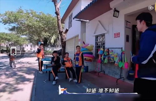  短剧夫人流产后疯批总裁他慌了全集观看，疯批总裁的悲惨追妻之路全集观看--第1张
