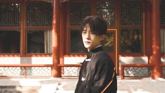  短剧少年无双全集观看--第1张