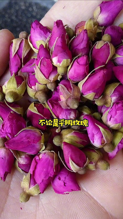  玫瑰花茶的正确泡法--第1张