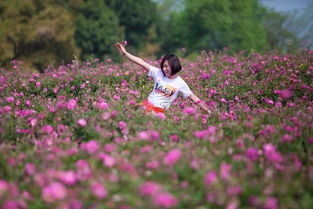  玫瑰花的诗句大全唯美，玫瑰花的美丽诗句，玫瑰花开淡墨痕--第1张