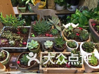  网上花店专题页制作，打造引人入胜的在线花卉市场，网上花店专题页制作，打造引人入胜的在线花卉市场标题--第1张