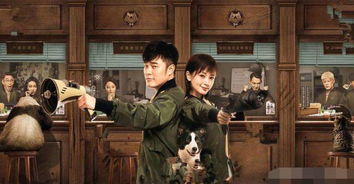  短剧神级小厂长神人生全集观看--第1张