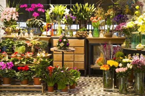  鲜花店名字洋气的，浪漫花语鲜花店，传递温馨的花香--第1张
