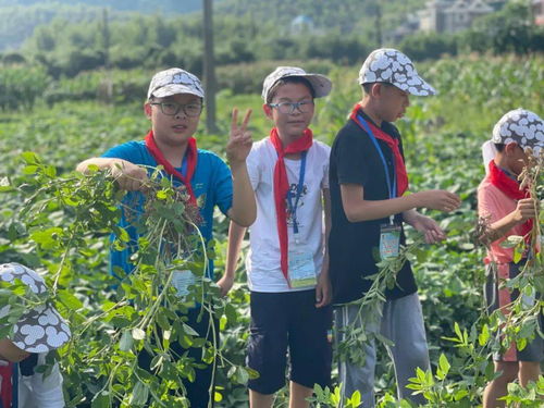  高价上门收购国槐，珍稀资源，专业回收，绿色环保，国槐回收价格及上门收购服务，绿色环保，珍稀资源回收专家--第1张