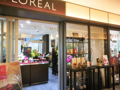  线上鲜花店招商加盟，开启您的鲜花事业之旅--第1张