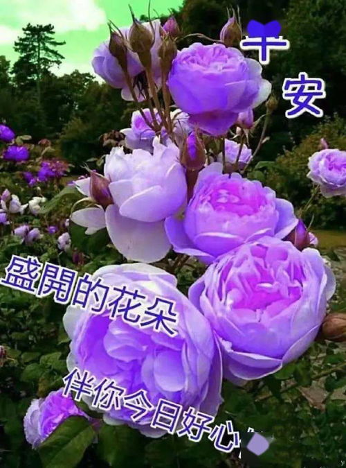 送花祝福语简短--第1张