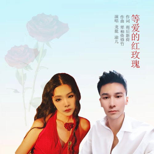  ，红玫瑰歌词的魅力--第1张