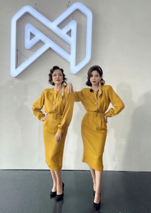  ，短剧一胎双宝妈咪你马甲又掉了全集观看--第1张