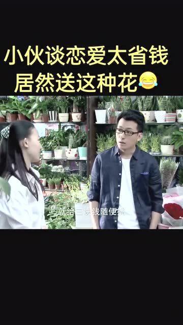  刚谈恋爱送女朋友什么花--第1张