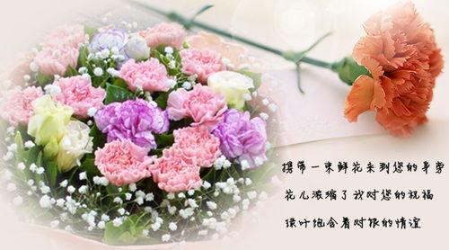  生日康乃馨鲜花图片——献给母亲最美好的祝福，母亲节康乃馨鲜花图片，献给母亲最美好的祝福--第1张