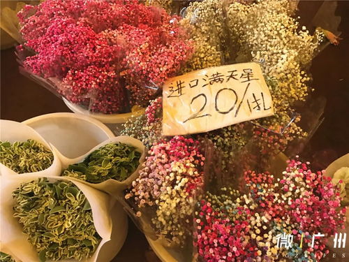  50元能在花店买什么花，50元在花店能买到的美丽鲜花--第1张