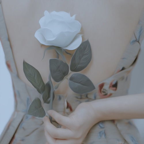  白玫瑰，女性之美的象征--第1张